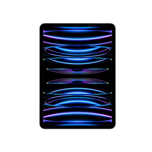 iPad Pro 11 (2022) WF-CL 128GB Gümüş 